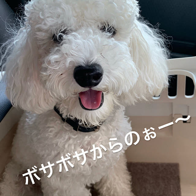 BUNさんの実例写真