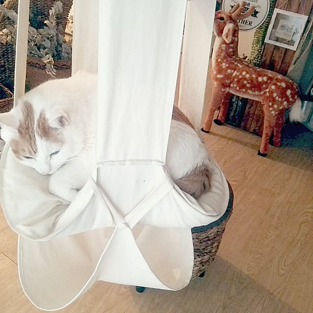 ugさんの実例写真