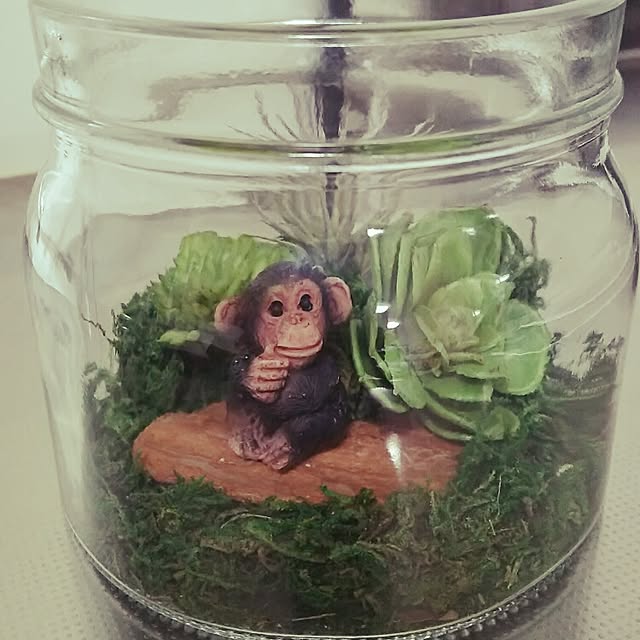panchobiさんの実例写真