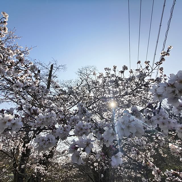 Rubiconさんの部屋