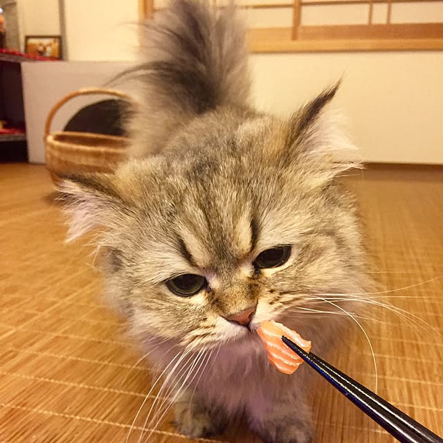 butachanさんの実例写真