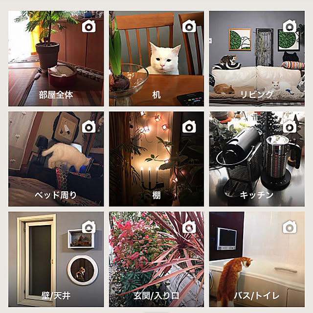 nyanko-beamさんの実例写真
