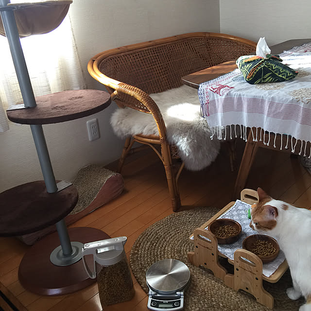 k.mさんの実例写真