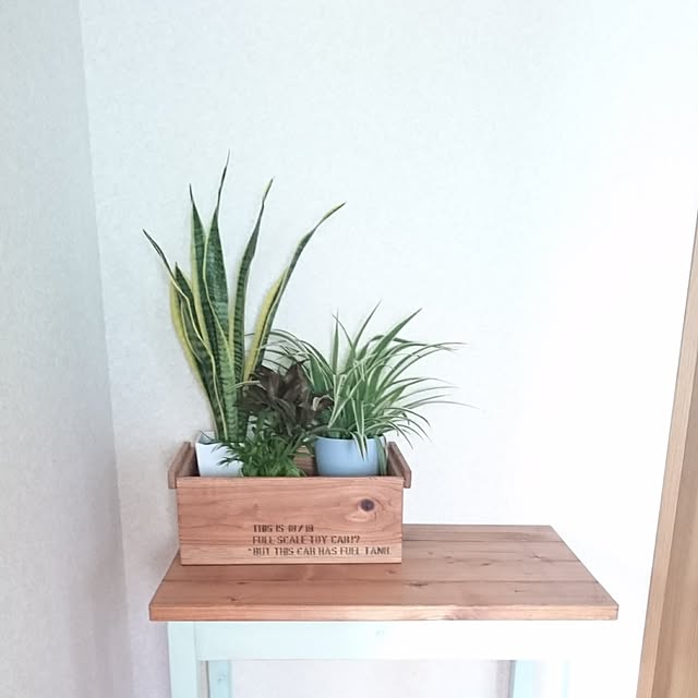 tamaさんの実例写真