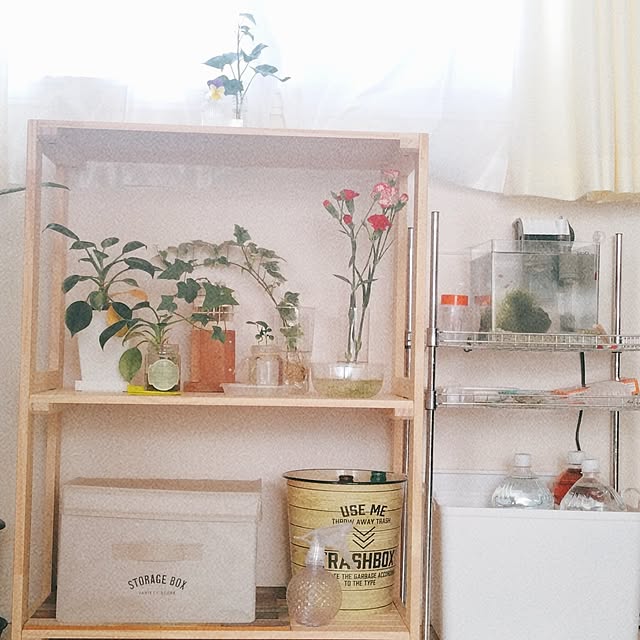 sumomoさんの実例写真