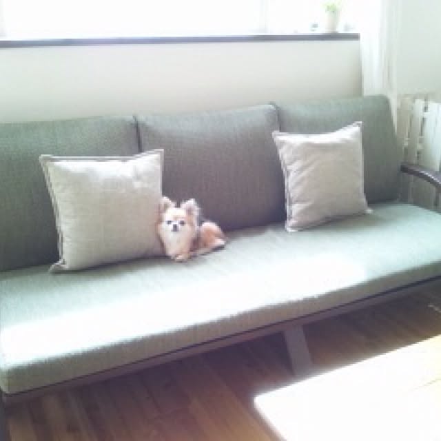 ASAKO.さんの実例写真