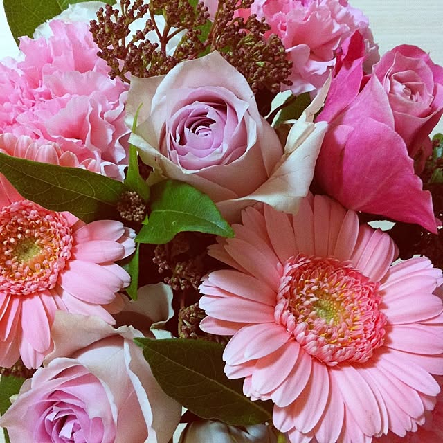 hachimitsuさんの実例写真