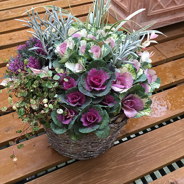 ayaさんの実例写真