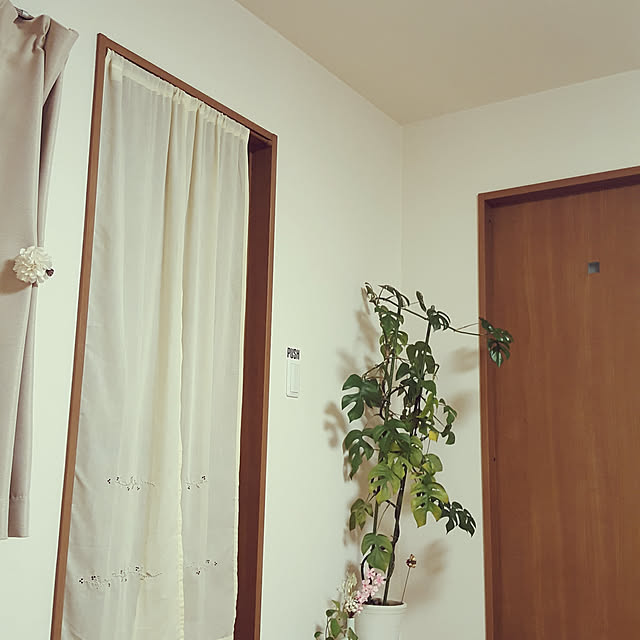natyenaoさんの実例写真