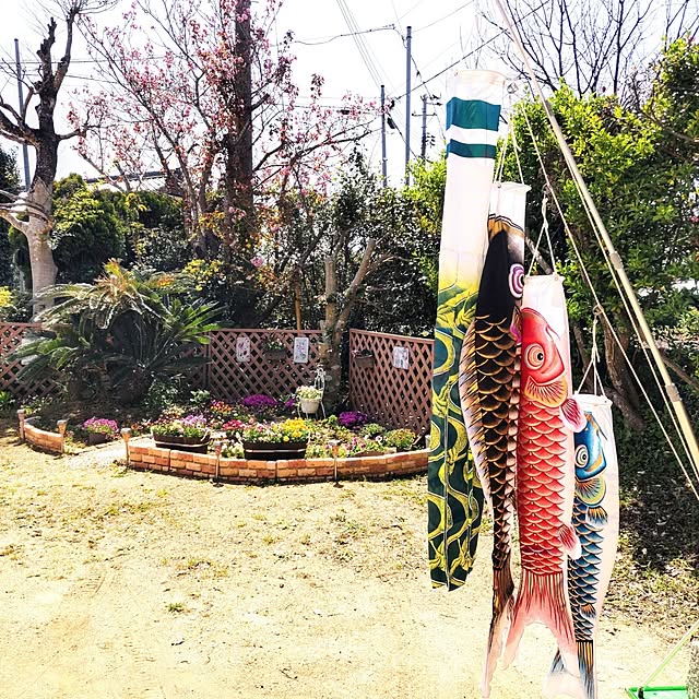 Rinさんの実例写真