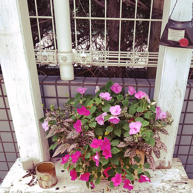 haxtusi301さんの実例写真