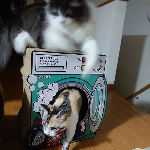 shinobuさんの実例写真