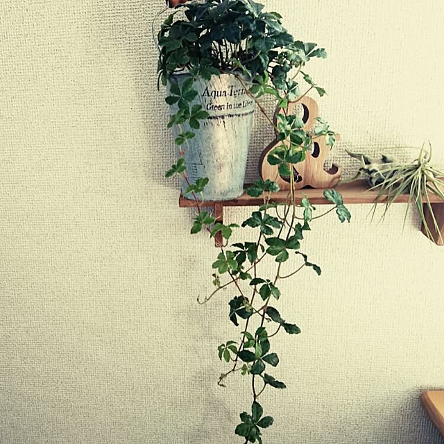 yuuさんの実例写真
