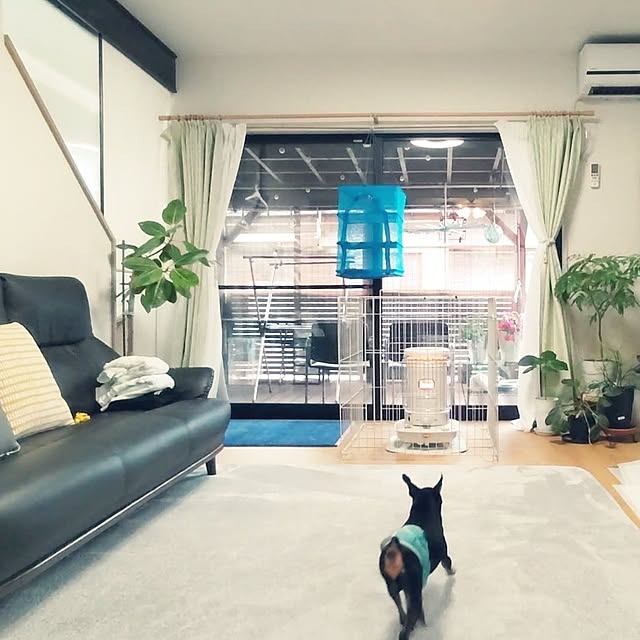 alcoさんの実例写真