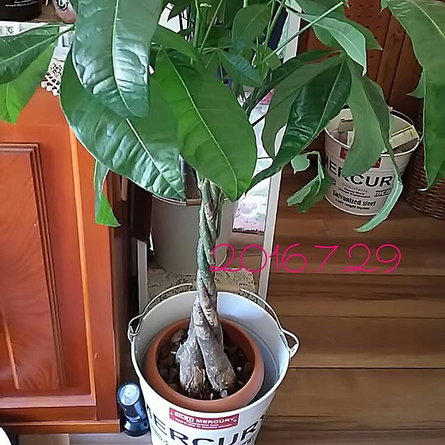 catriene0123さんの実例写真