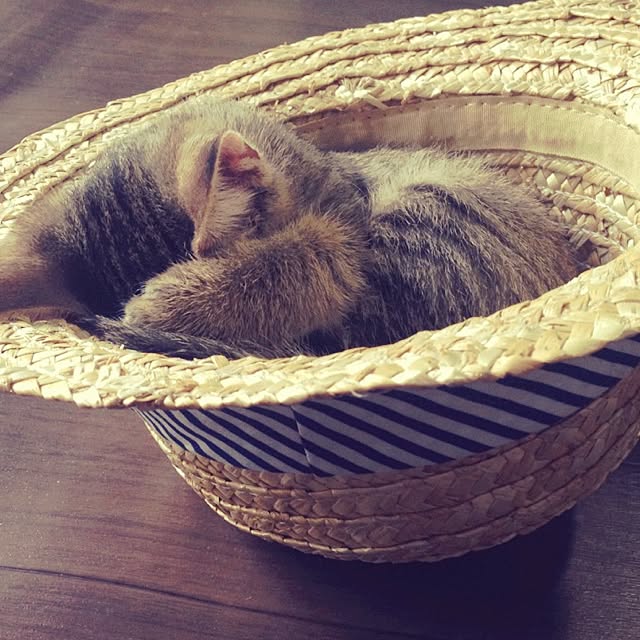 aiさんの実例写真