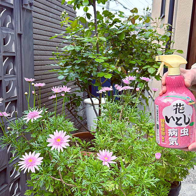 cocoさんの実例写真