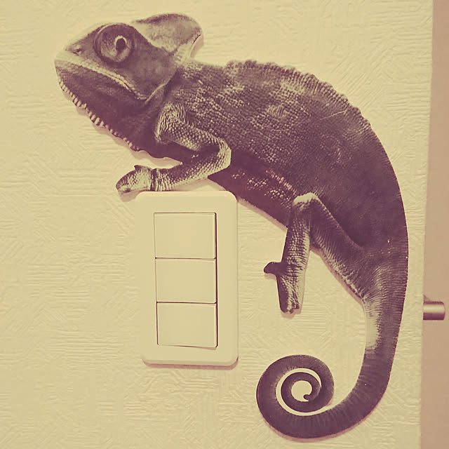 Raikkonenさんの実例写真