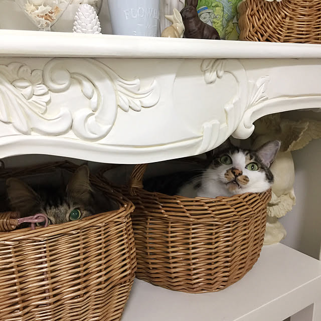 yuchiさんの実例写真
