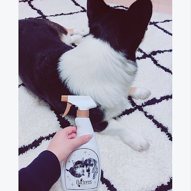 Ruiさんの実例写真