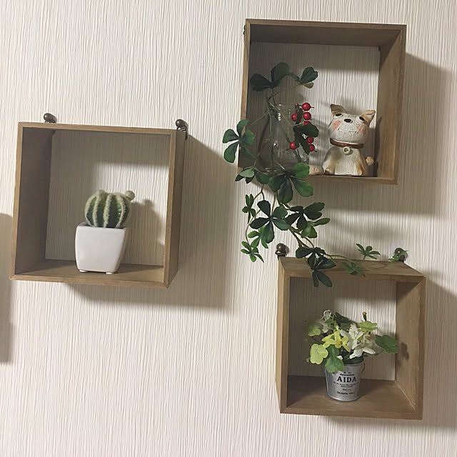 momokaさんの実例写真