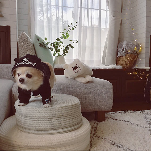 ponさんの実例写真