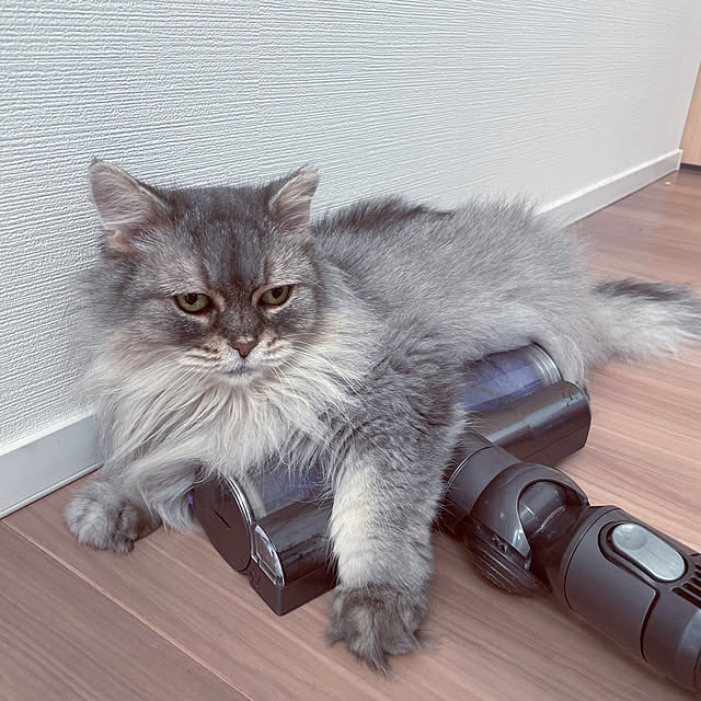 mahimarikoさんの実例写真
