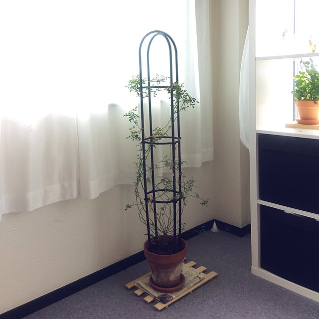 Onettoさんの実例写真