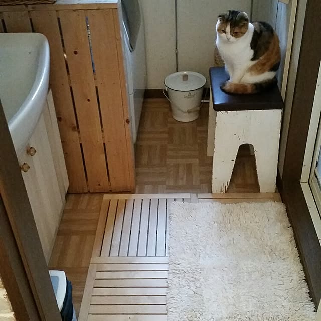 mikiさんの実例写真