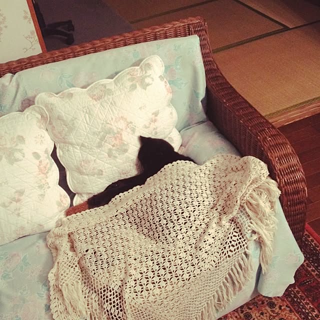 nanakoand...さんの実例写真