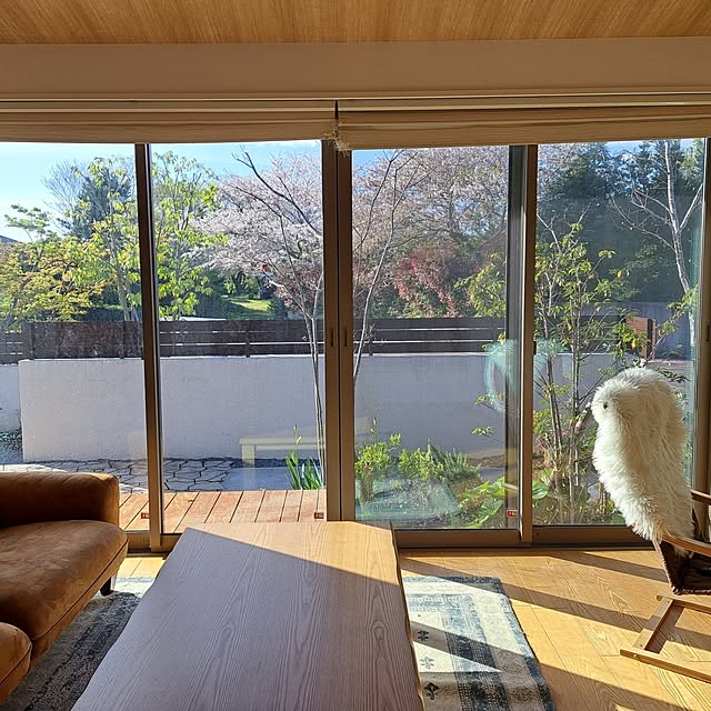 Saranさんの実例写真