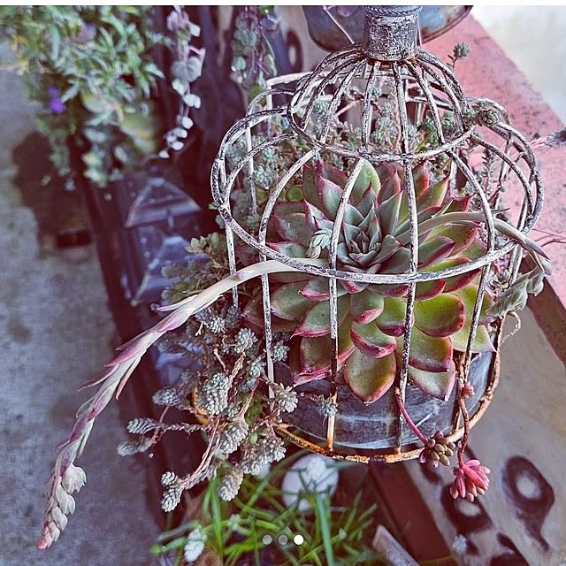 mocomocoさんの部屋