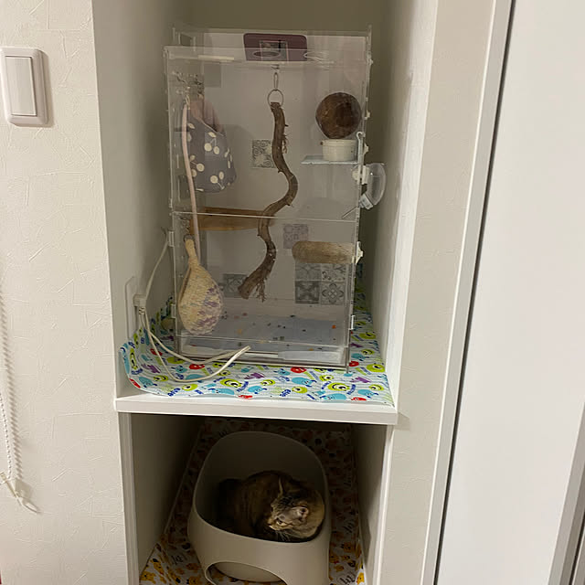 satopiさんの部屋