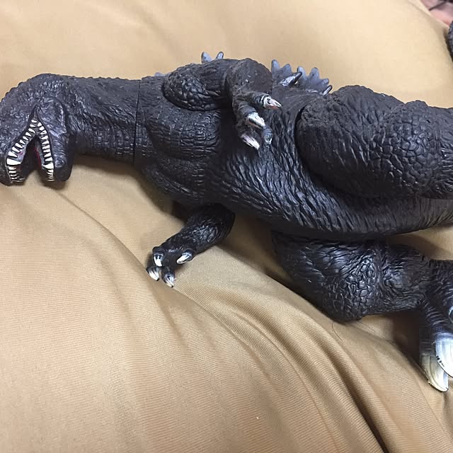seiさんの実例写真