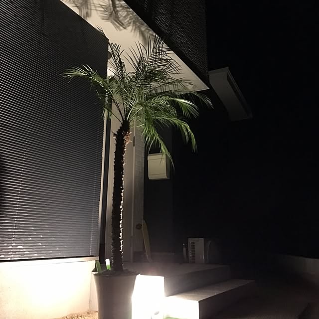 Mayuyanさんの実例写真