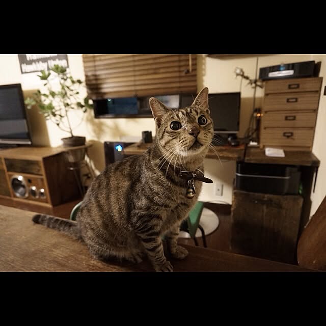 jnkaiさんの実例写真