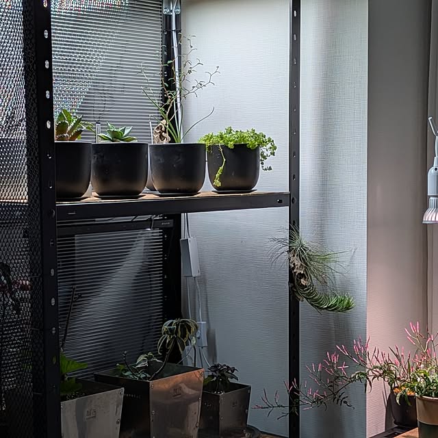 wyefuさんの実例写真