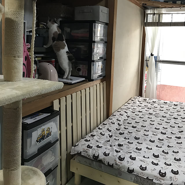 ベッド周りのインテリア実例 - 2019-05-18 15:38:52