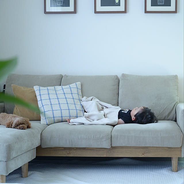 nico_home_igさんの実例写真