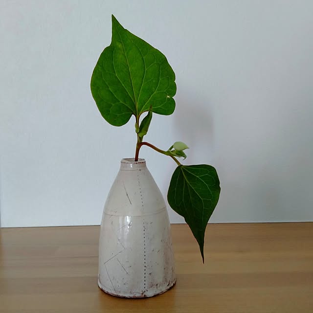 kayoさんの実例写真