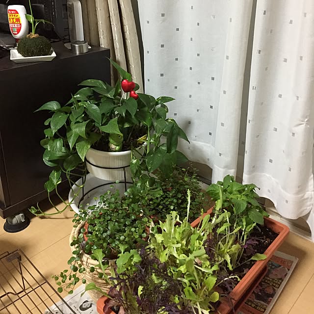 emiさんの実例写真