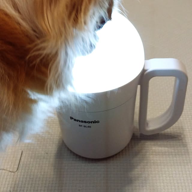 toratanさんの部屋