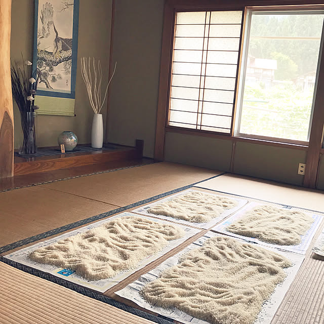 aoinokimiさんの実例写真