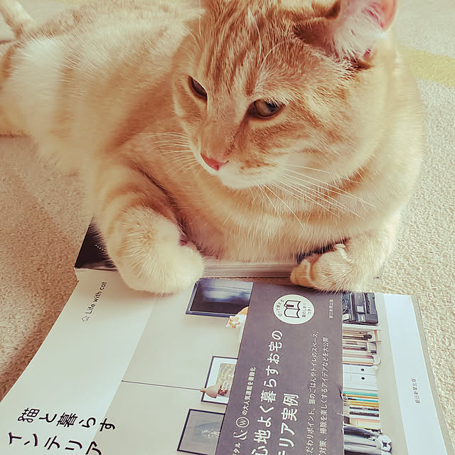 makoさんの実例写真