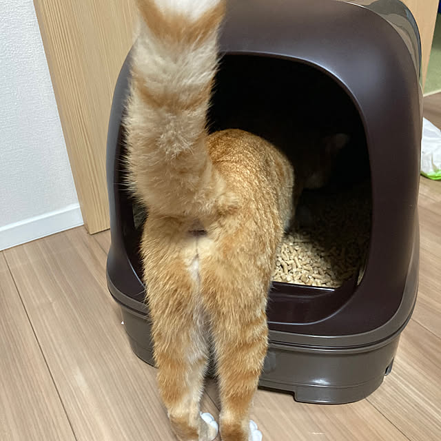 abebiさんの部屋