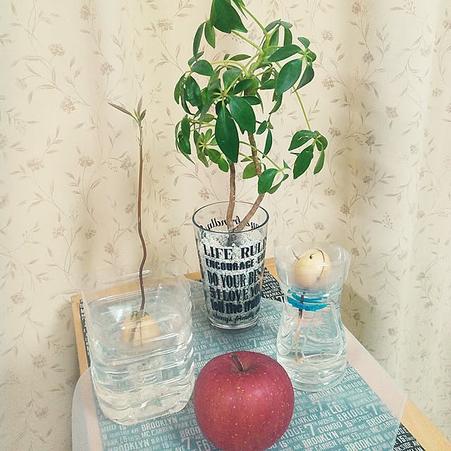 Aresさんの実例写真