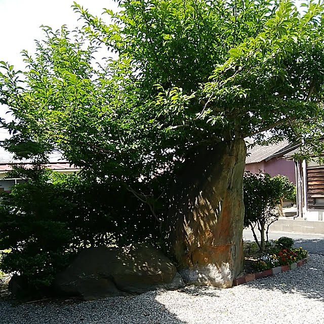 kotaroさんの実例写真