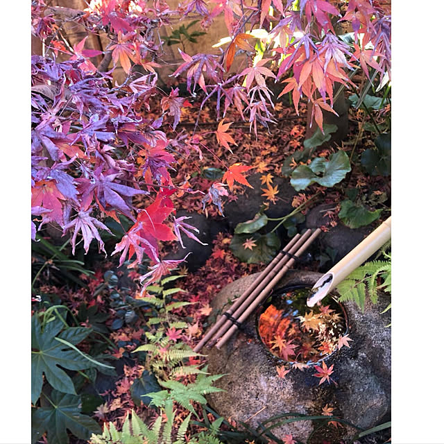 riettaさんの実例写真