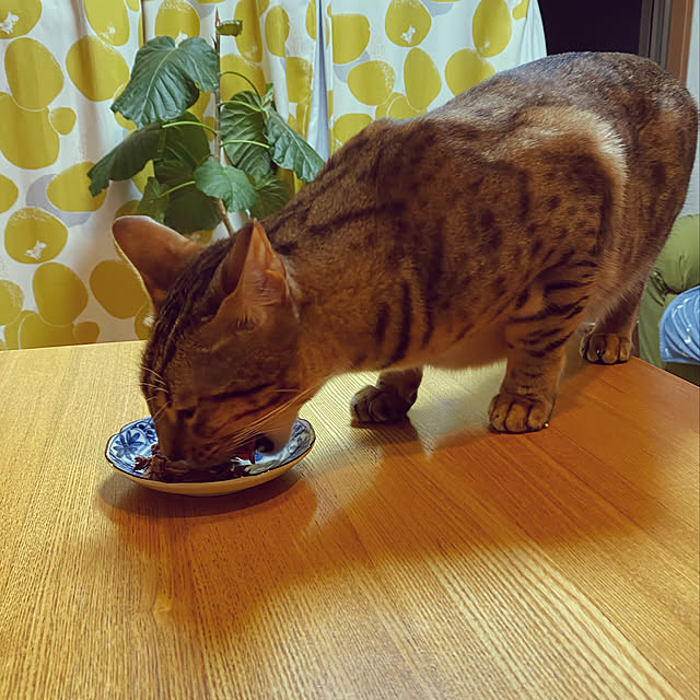 yuzuaoさんの実例写真