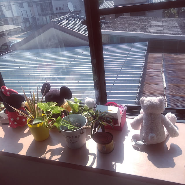 LiSAさんの実例写真